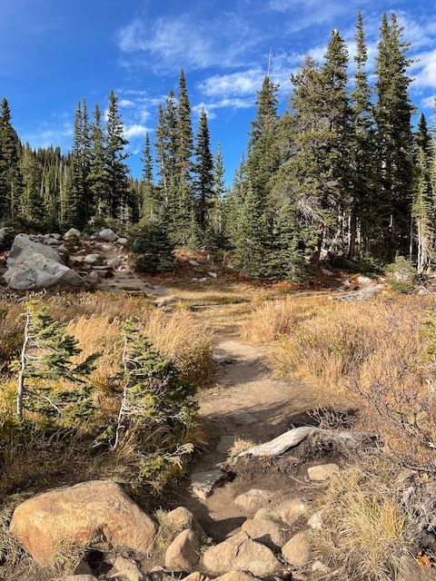 Mountain trail
