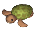 Dancing turtle